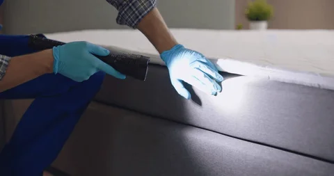 Get Rid of Bed Bugs