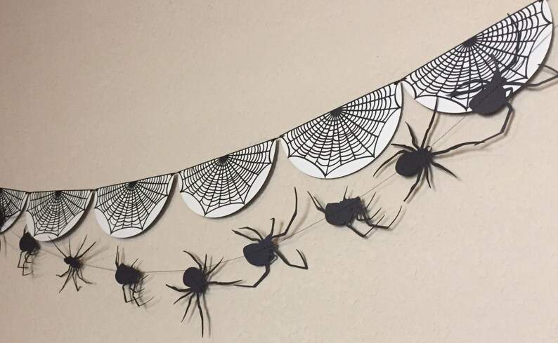 Get Rid of Spiders