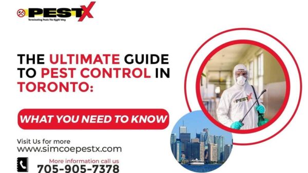 The Ultimate Guide to Pest Control in Toronto: What You Need to Know
