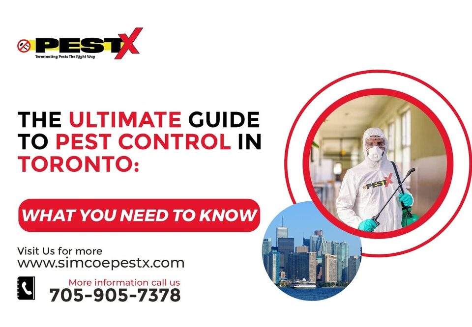 The Ultimate Guide to Pest Control in Toronto: What You Need to Know