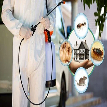 home Pest Control Expert