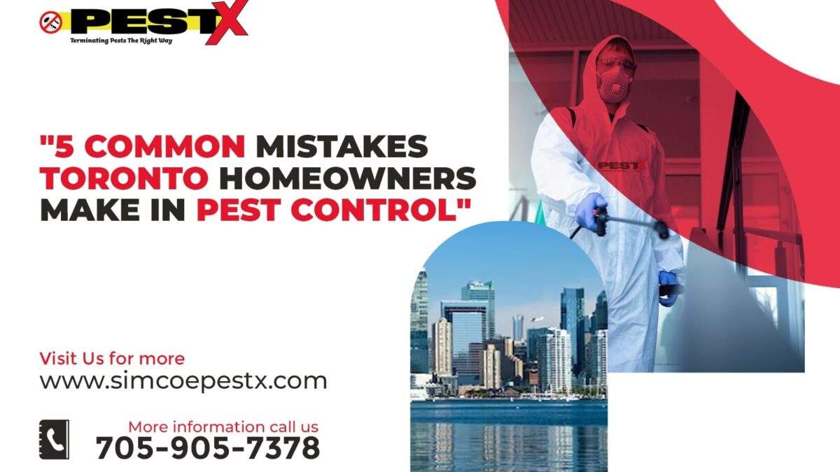 5 Common Mistakes Toronto Homeowners Make in Pest Control