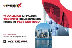 5 Common Mistakes Toronto Homeowners Make in Pest Control