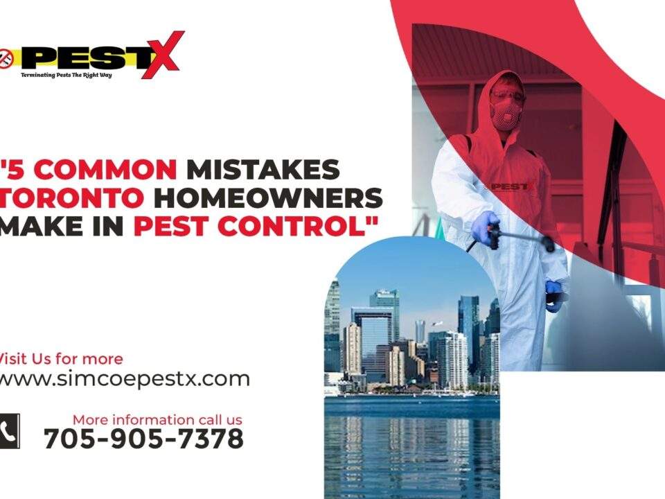5 Common Mistakes Toronto Homeowners Make in Pest Control