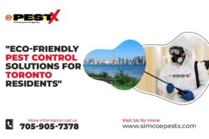 Eco-Friendly Pest Control Solutions for Toronto Residents