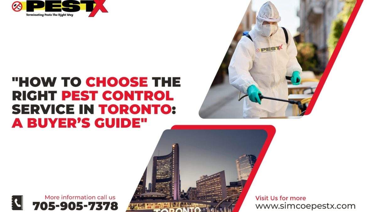 How to Choose the Right Pest Control Service in Toronto