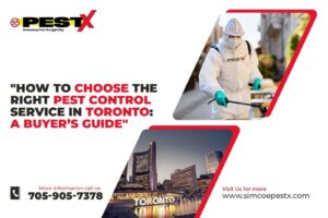 How to Choose the Right Pest Control Service in Toronto