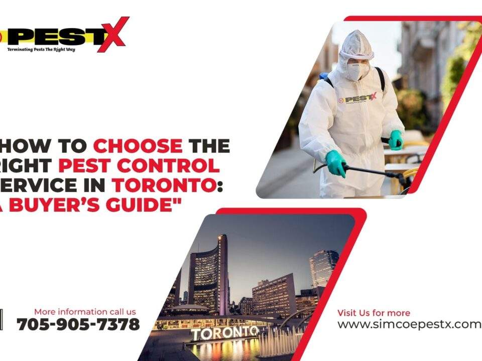How to Choose the Right Pest Control Service in Toronto