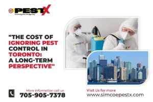 The Cost of Ignoring Pest Control in Toronto