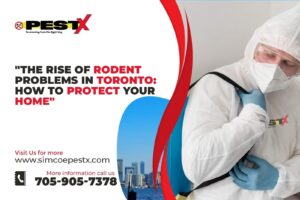 The Rise of Rodent Problems in Toronto: How to Protect Your Home