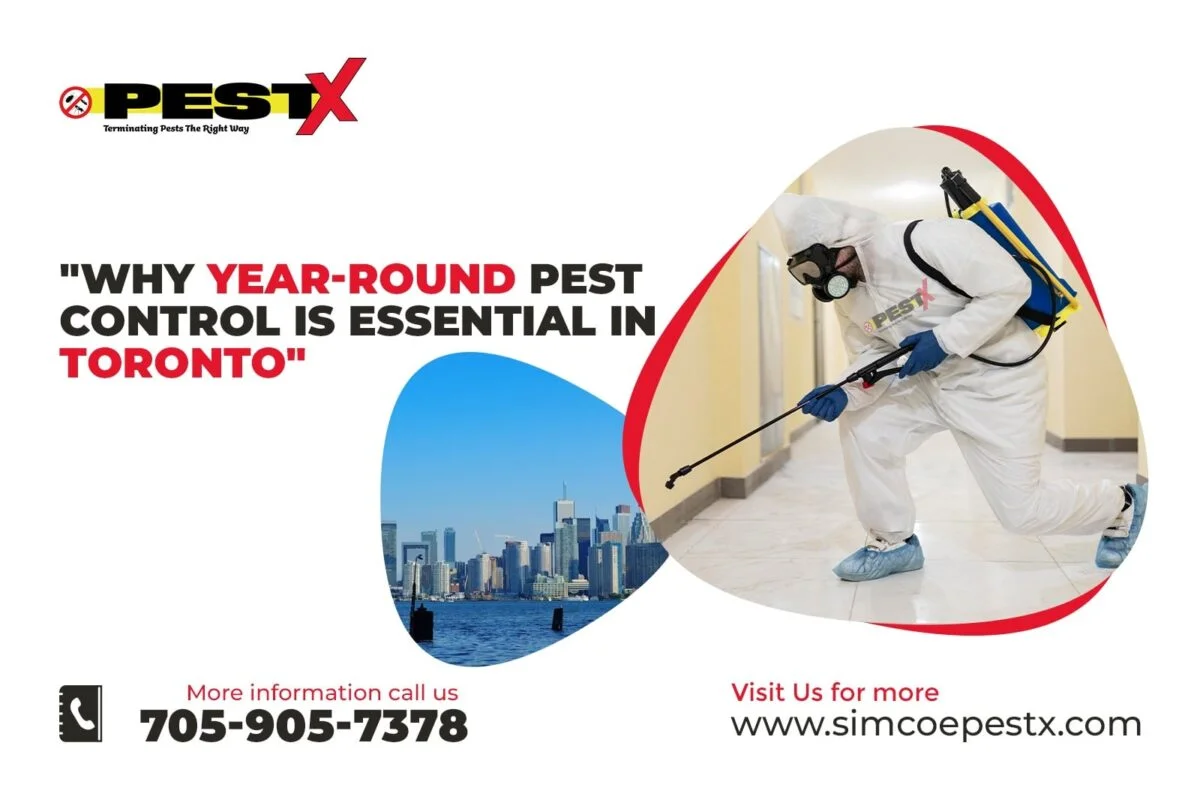 Why Year-Round Pest Control is Essential in Toronto