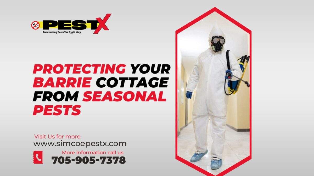 Barrie Cottage from Seasonal Pests