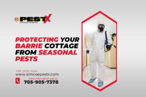 Barrie Cottage from Seasonal Pests
