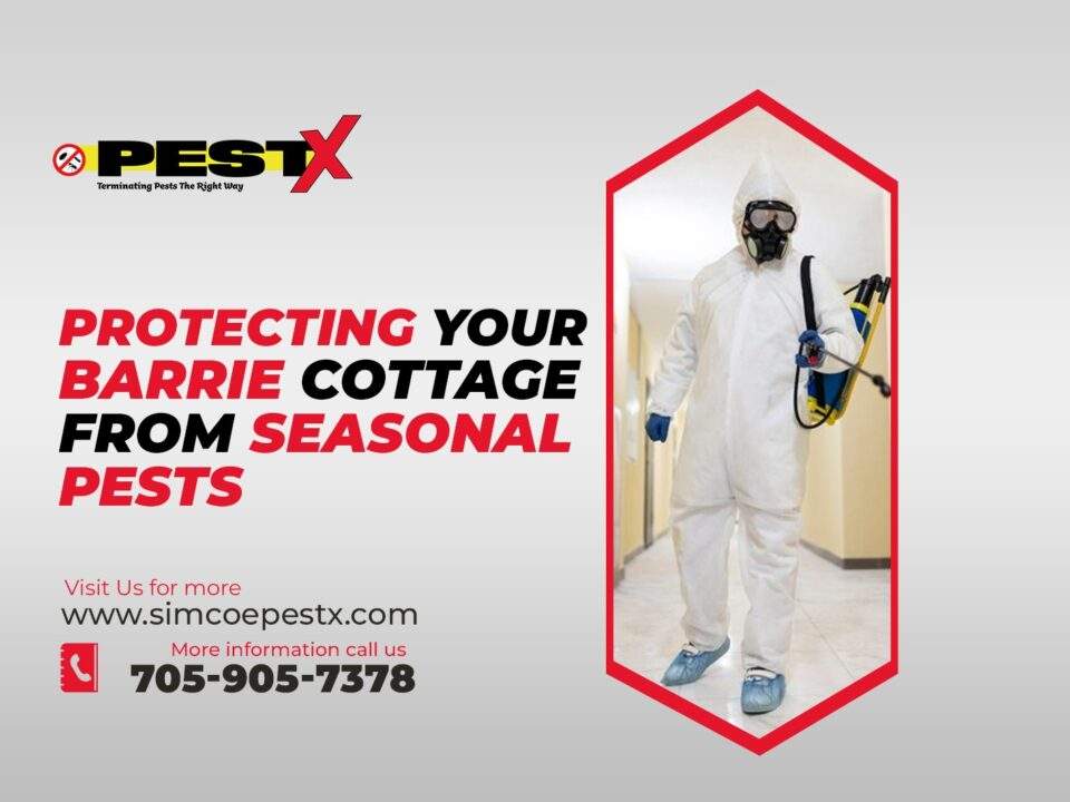 Barrie Cottage from Seasonal Pests