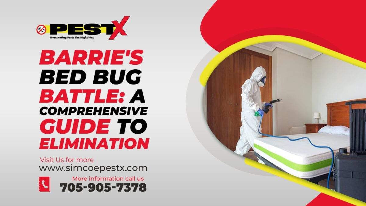 Barrie's Bed Bug Battle