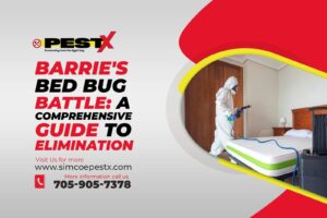 Barrie's Bed Bug Battle