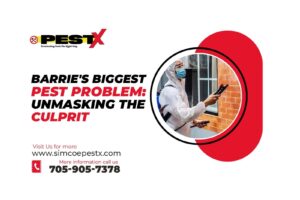 Barrie's Biggest Pest Problem