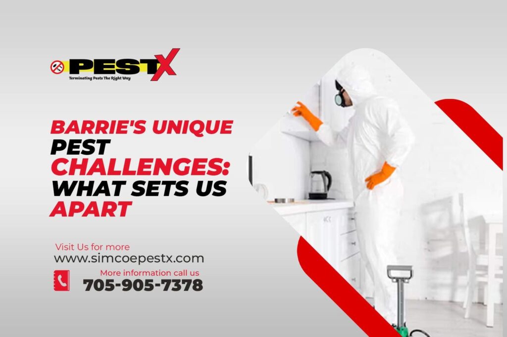Current image: Barrie's Unique Pest Challenge