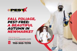 Beautiful Autumn in Newmarket