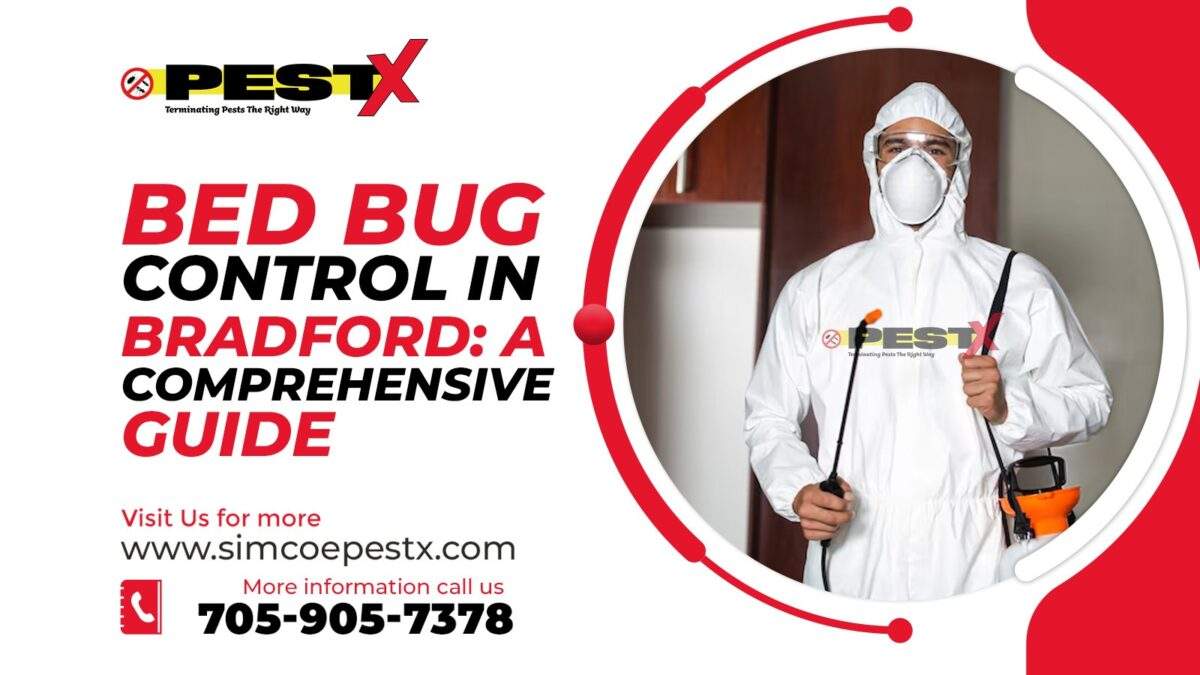 Bed Bug Control in Bradford