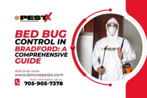 Bed Bug Control in Bradford