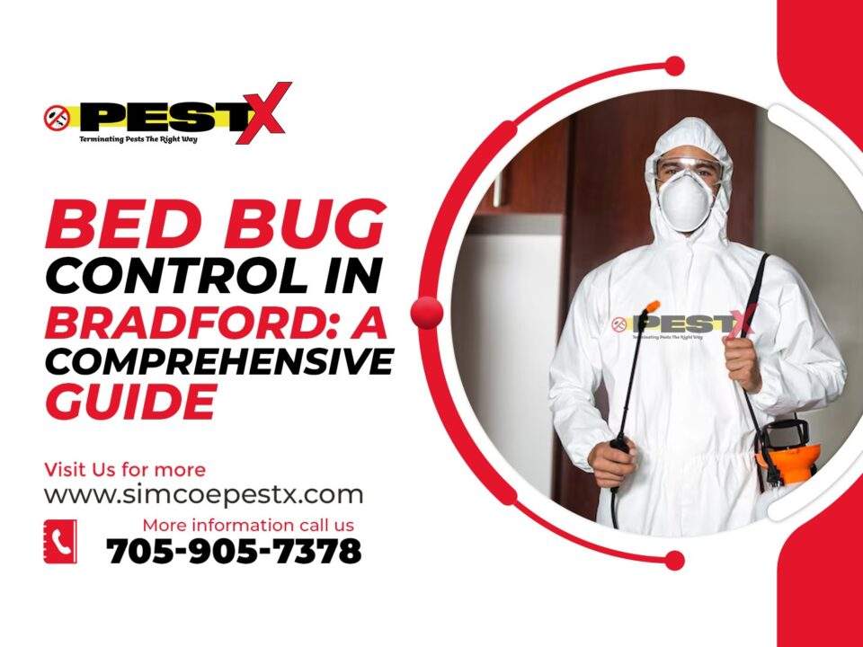 Bed Bug Control in Bradford