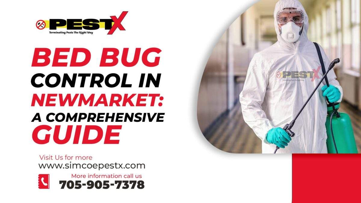 Bed Bug Control in Newmarket