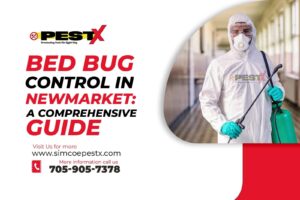 Bed Bug Control in Newmarket
