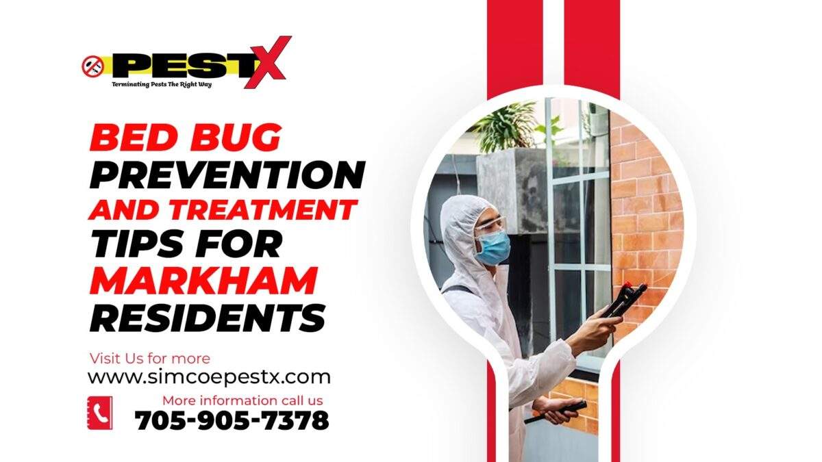 Bed Bug Prevention and Treatment