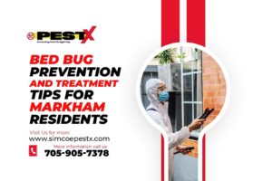 Bed Bug Prevention and Treatment
