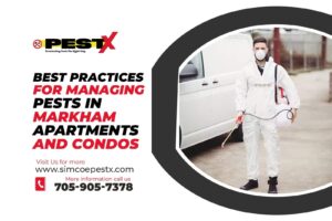 Best Practices for Managing Pests