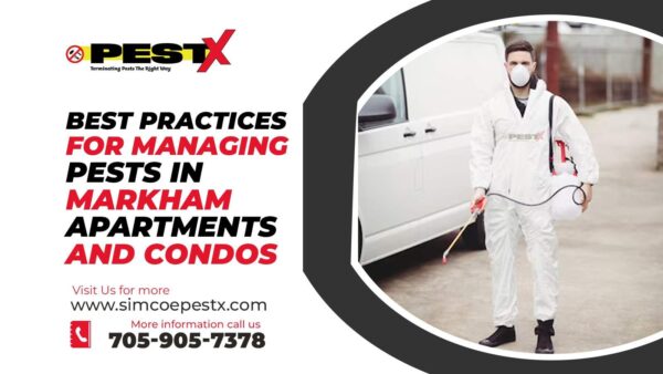 Best Practices for Managing Pests