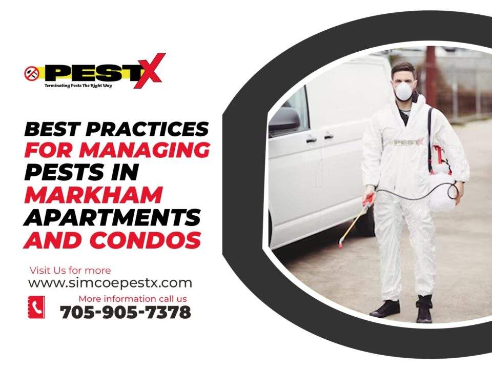 Best Practices for Managing Pests