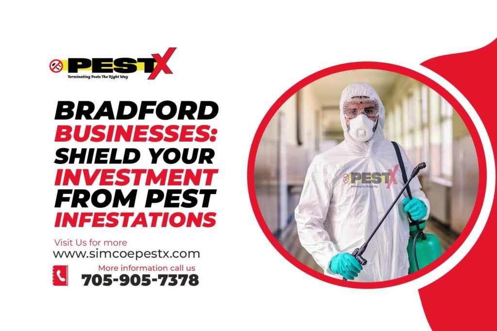 Bradford Businesses