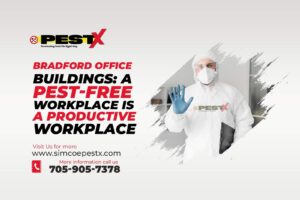 Bradford Office Buildings