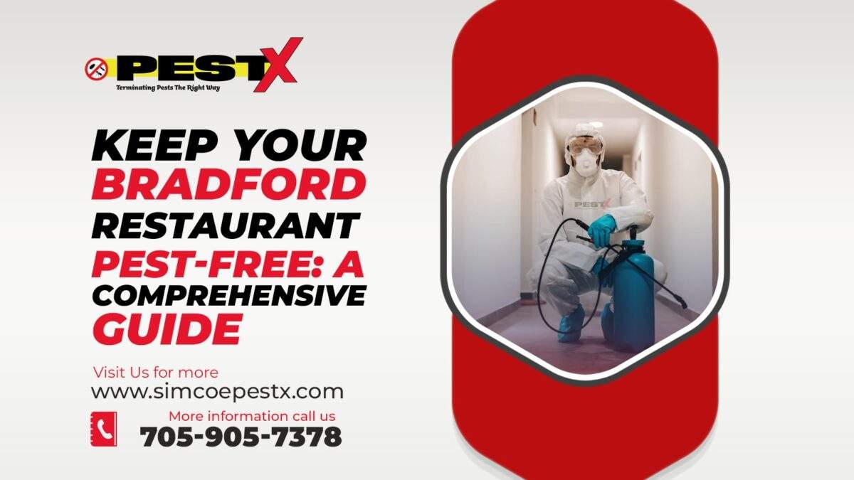 Bradford Restaurant Pest-Free