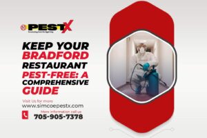 Bradford Restaurant Pest-Free