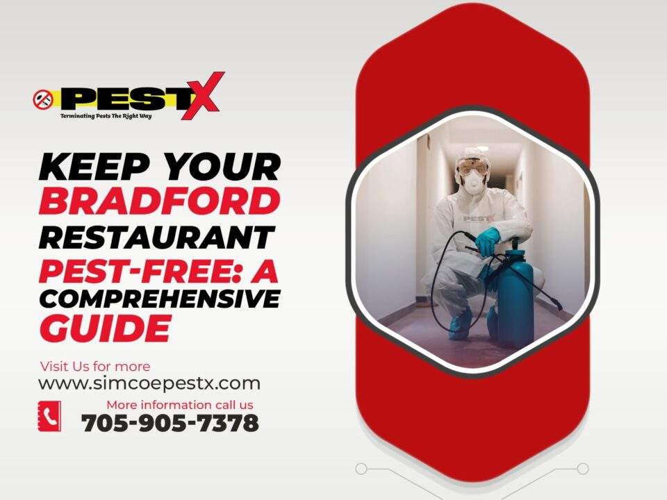 Bradford Restaurant Pest-Free