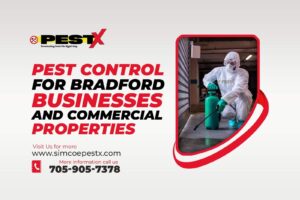 Businesses and Commercial Properties