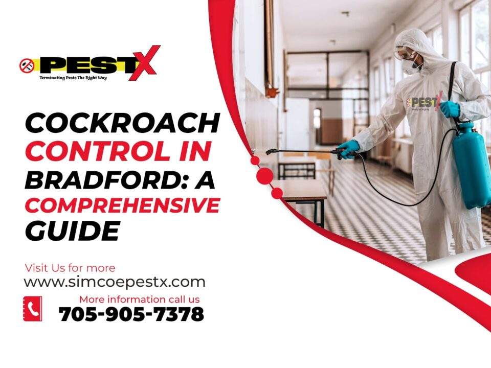 Cockroach Control in Bradford