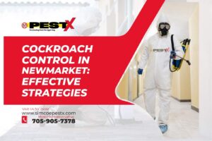 Cockroach Control in Newmarket