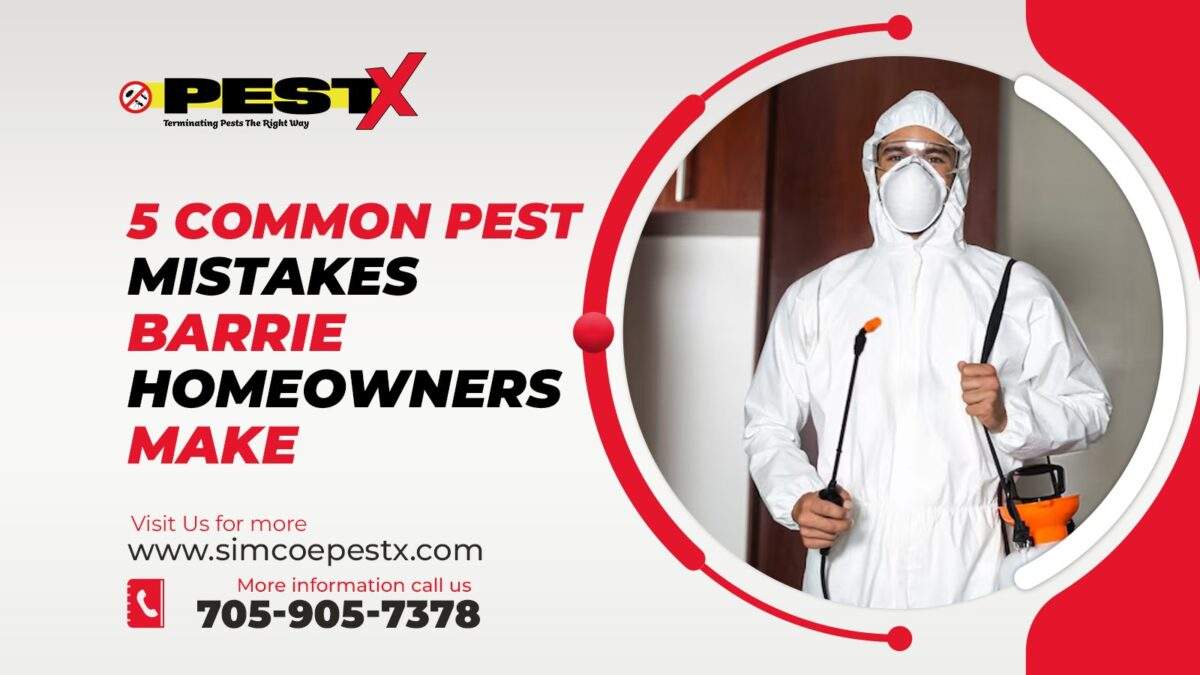 Common Pest Mistakes Barrie Homeowners