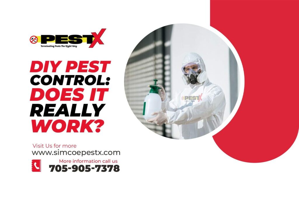DIY Pest Control