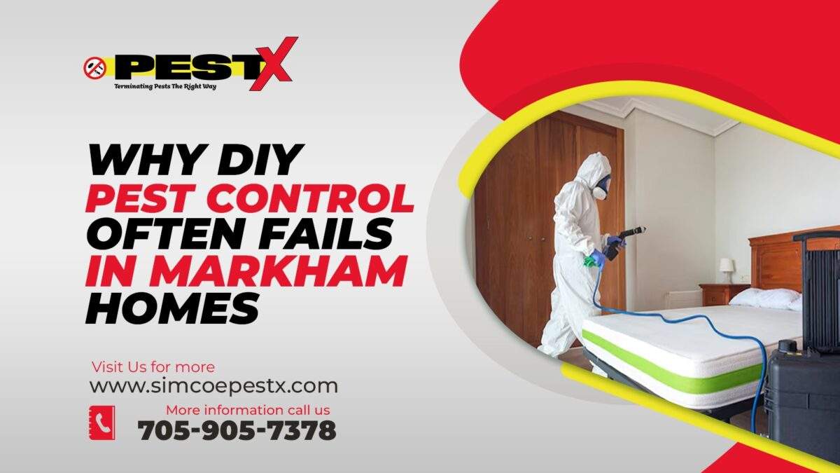 DIY Pest Control Often Fails