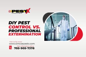 DIY Pest Control vs. Professional Extermination