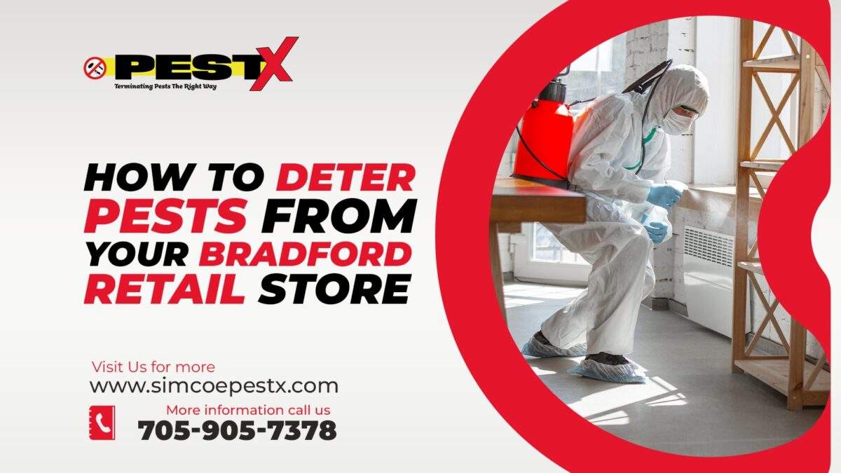 Deter Pests from Your Bradford Retail Store