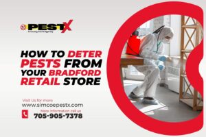Deter Pests from Your Bradford Retail Store
