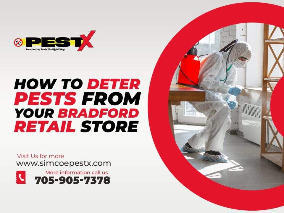 Deter Pests from Your Bradford Retail Store