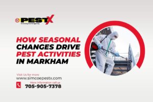 Drive Pest Activities in Markham