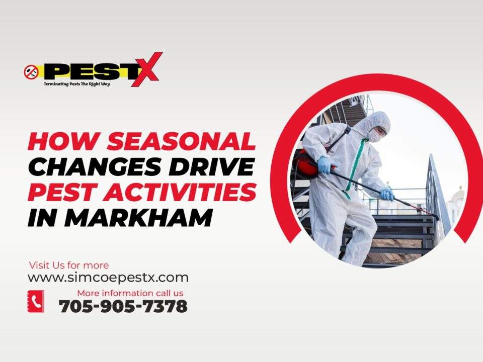 Drive Pest Activities in Markham